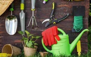 Garden-Tools-Accessories_sq